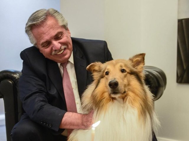 MuriГі Dylan, el perro de Alberto FernГЎndez: вЂњSeguramente volveremos a encontrarnosвЂќ