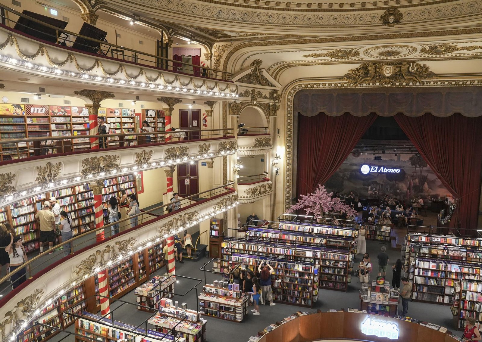 Mucho más que libros: el rincón secreto de la librería más linda del mundo, que ahora se puede visitar