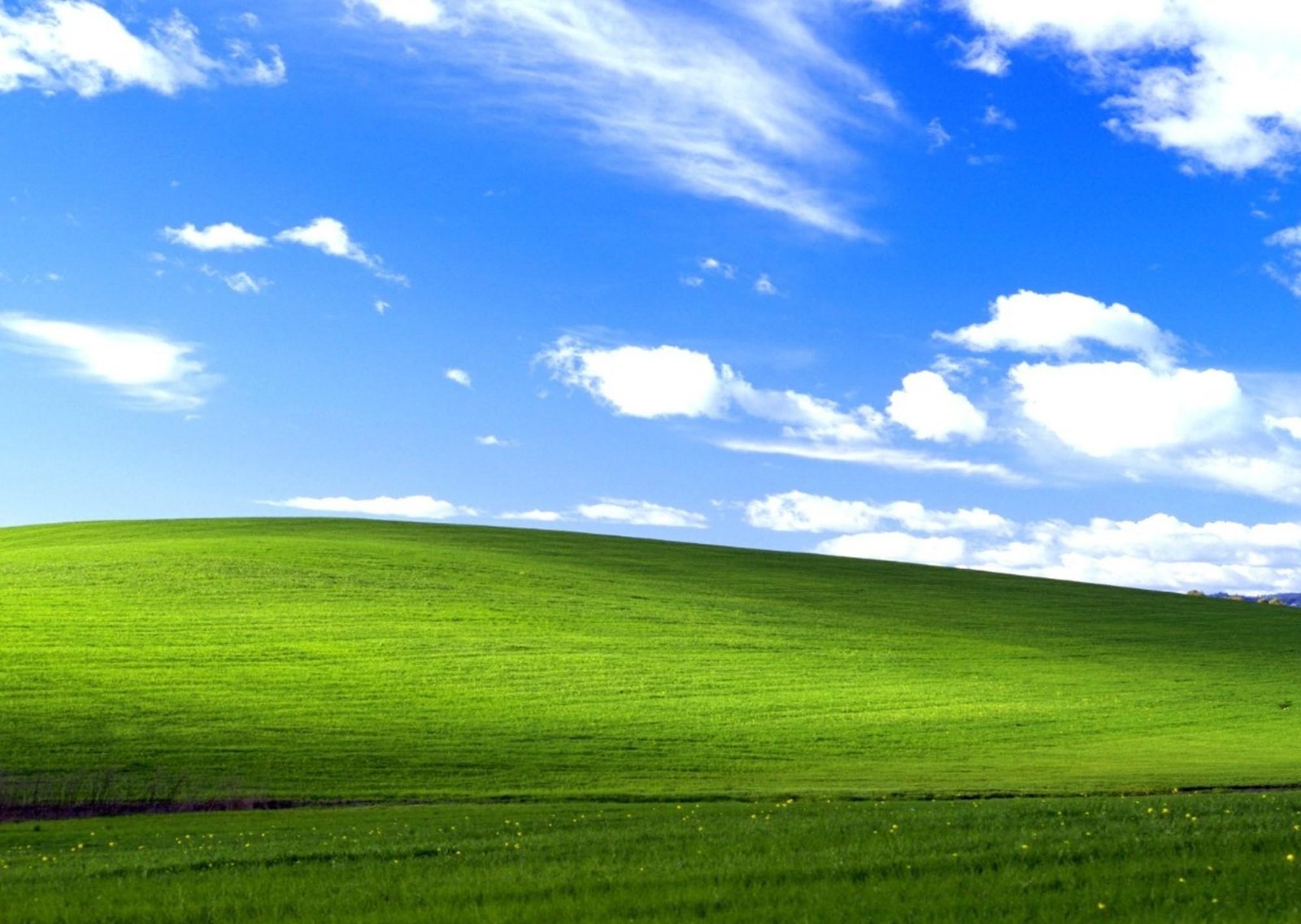 El histórico fondo de pantalla de Windows XP, 25 años después: cómo se ve hoy el paisaje de California