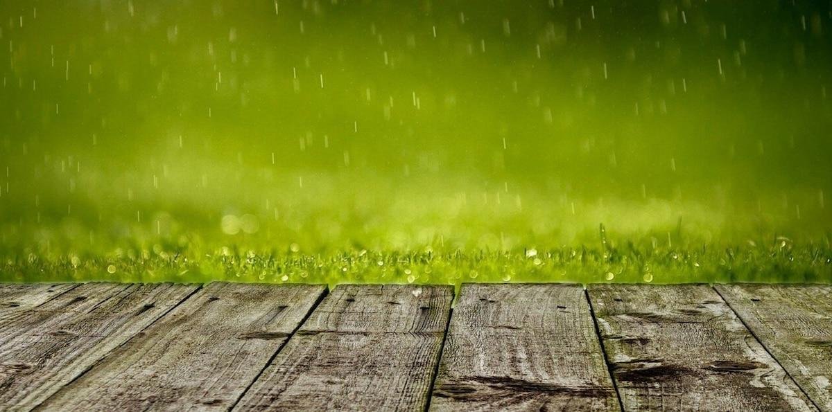 Clima en Moreno hoy: cuál es el pronóstico del tiempo para el 5 de marzo de 2026