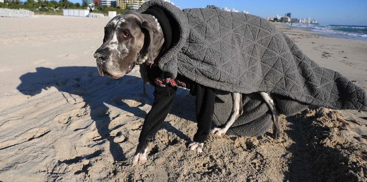 Clima en Tampa, Florida hoy: cuál es el pronóstico del tiempo para hoy 3 de marzo