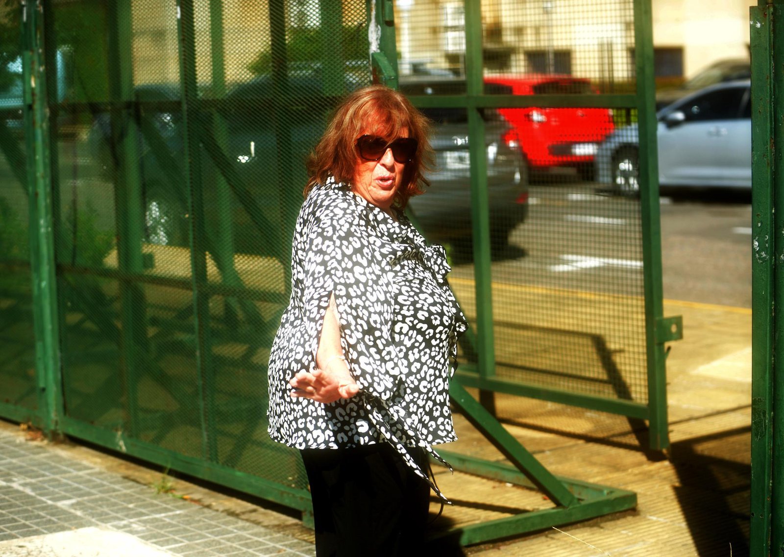 Crimen de Nisman: la ex fiscal Viviana Fein responsabilizó a la policía y a la madre del ex fiscal por la contaminación de la escena del hecho