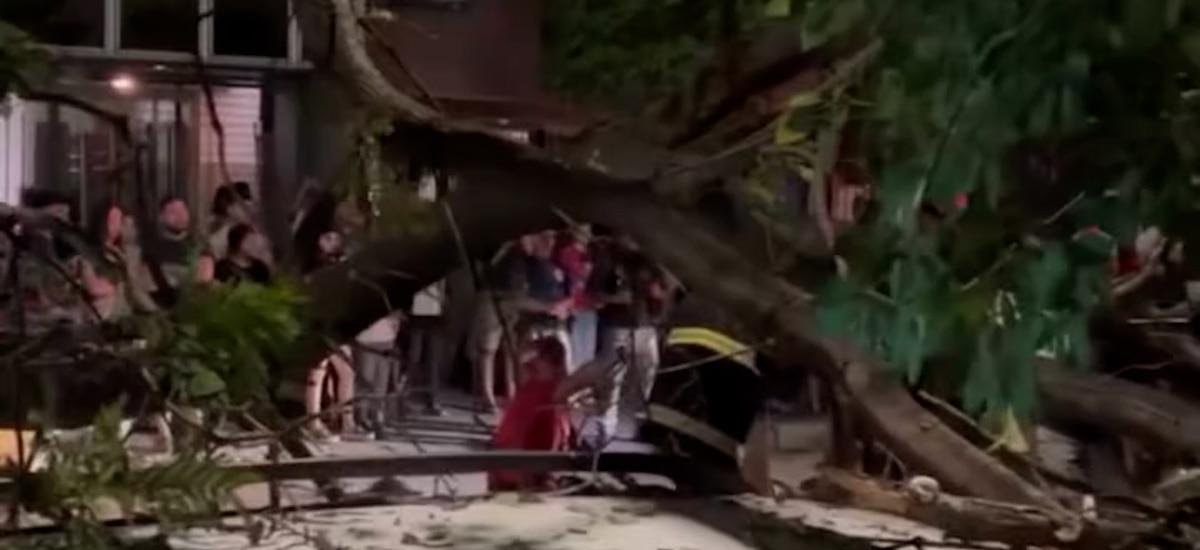 Imágenes sensibles: un repartidor quedó atrapado abajo de un árbol que se le cayó encima cuando trabajaba