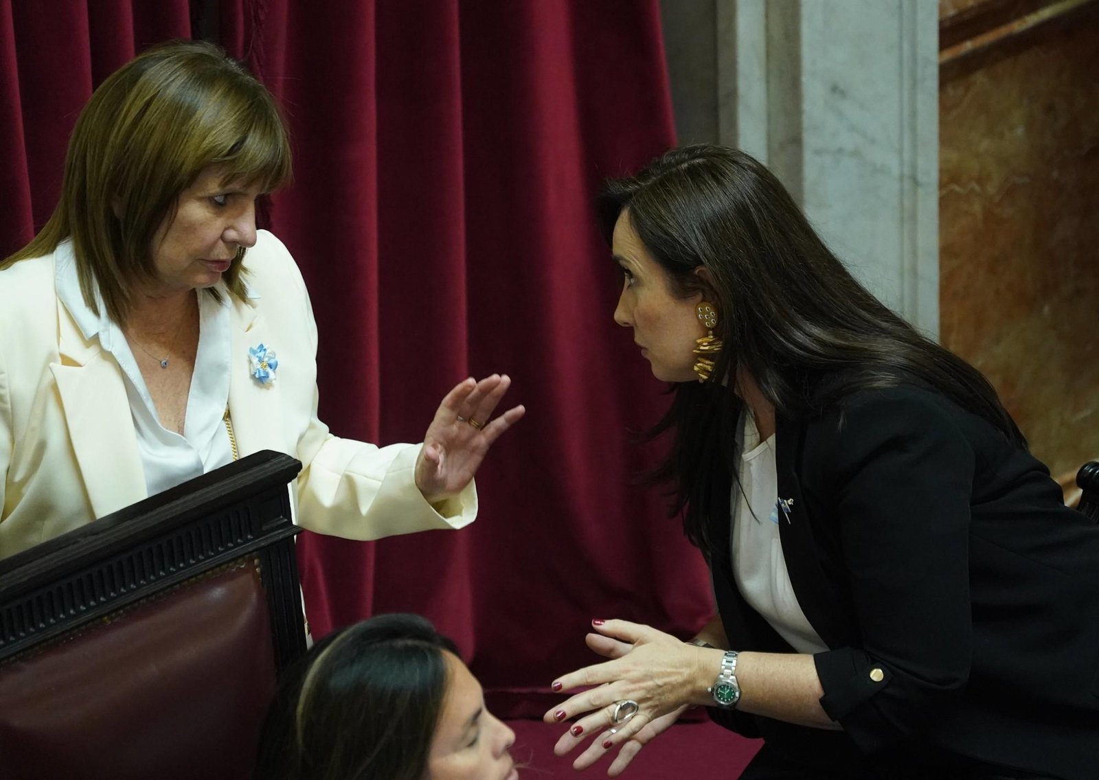 Patricia Bullrich vuelve a la carga contra la vice: “Villarruel va en otra dirección, para el camino del peronismo”