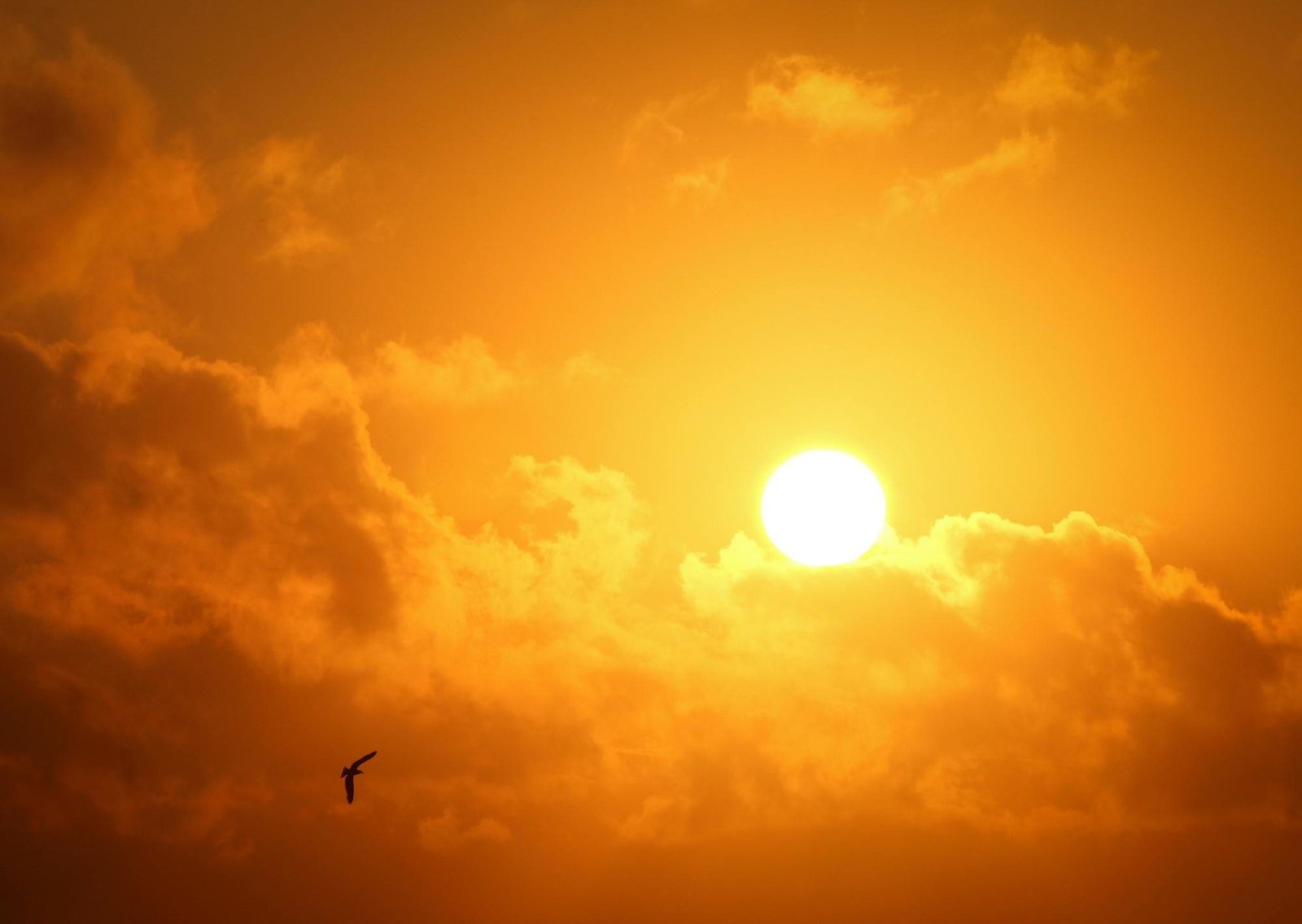 Clima hoy en Culiacán, México: el pronóstico del tiempo para este viernes 27 febrero de 2026