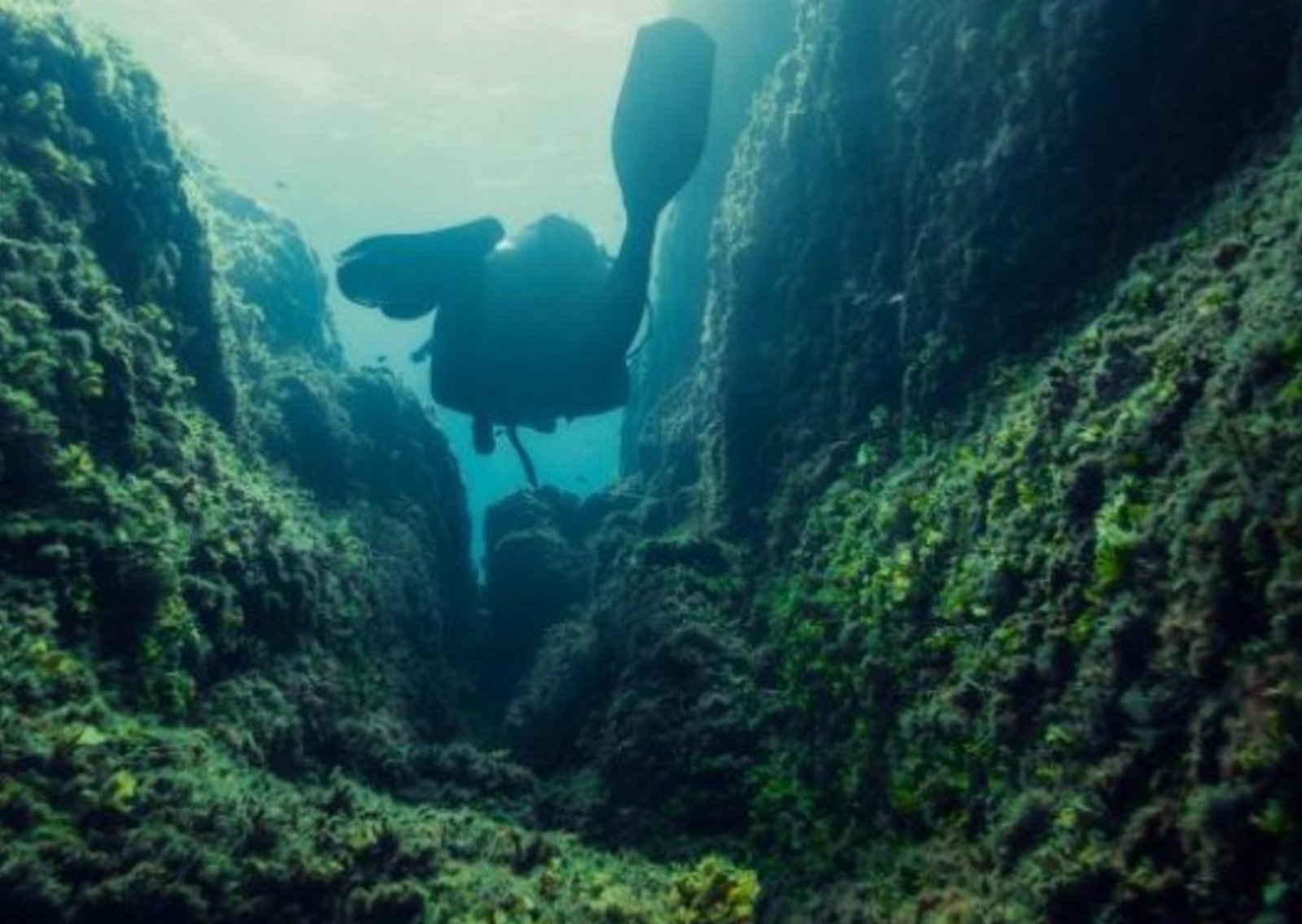 Los investigadores no dan crédito: un estudio ha confirmado que los cañones submarinos no forman los ríos