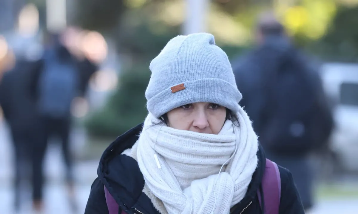 Pronóstico del tiempo: cuándo será el día más frío de la semana, según el SMN