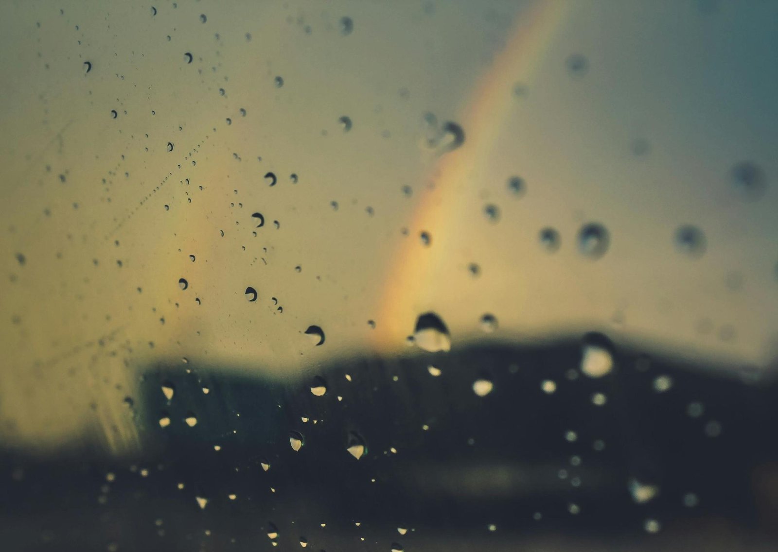 Clima hoy en San Luis: el pronóstico del tiempo para este sábado 31 enero de 2026