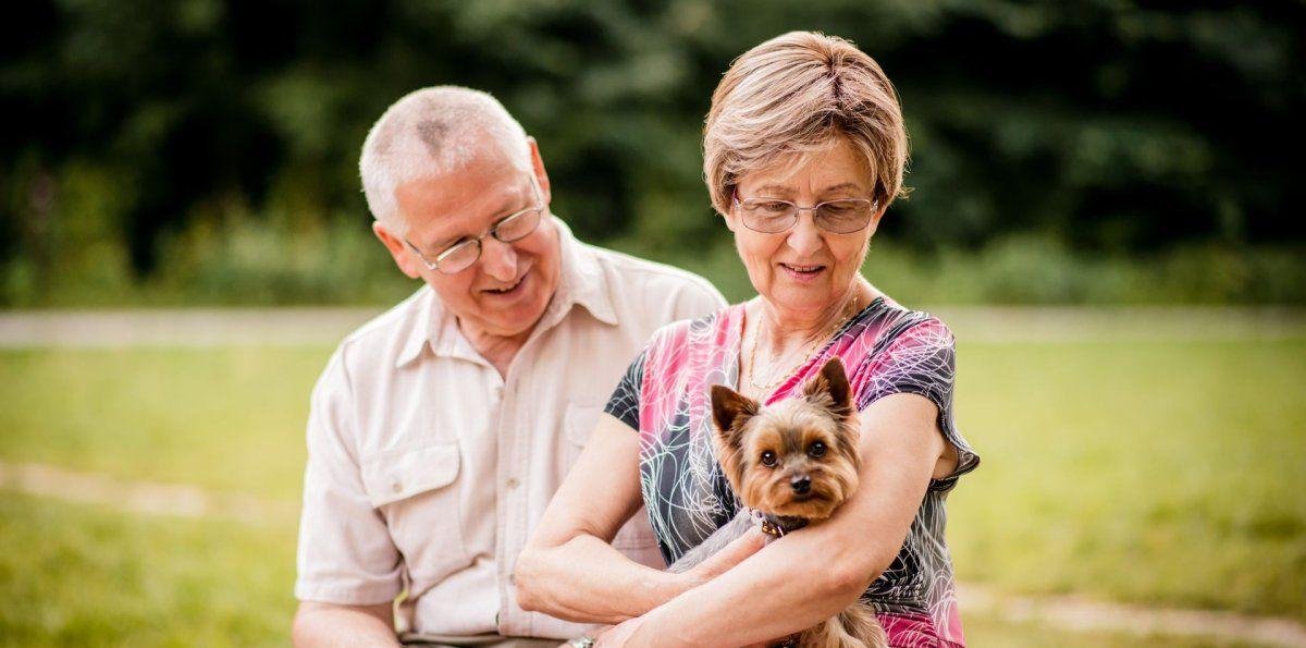 Cuáles son los hábitos que protegen la lucidez en la vejez