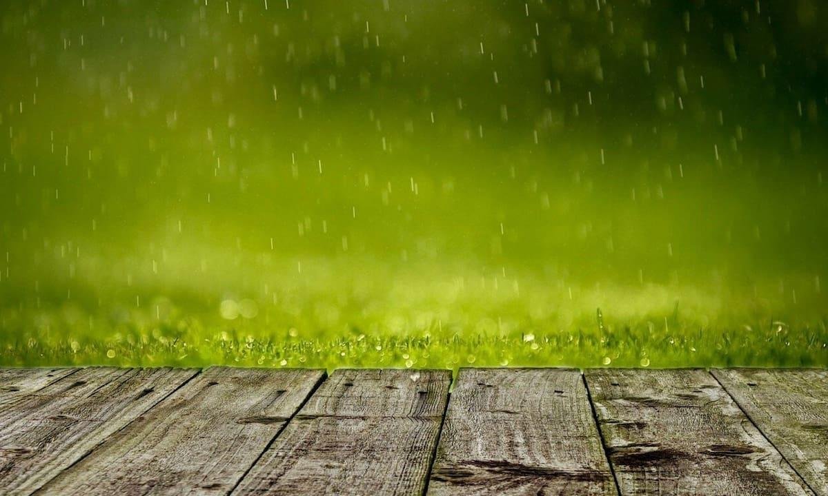 Clima en Río Gallegos hoy: cuál es el pronóstico del tiempo para el 2 de marzo de 2026