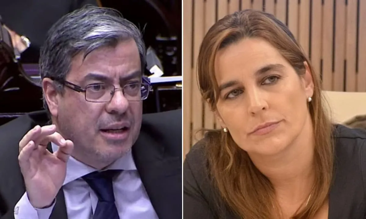 “Violento”: Germán Martínez cruzó a un exdiputada radical por vestir de cucarachas a referentes del peronismo con IA