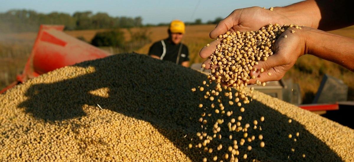 Promesas al campo: el Presidente volvió a hablar de bajar retenciones y de avanzar con una nueva Ley de Semillas