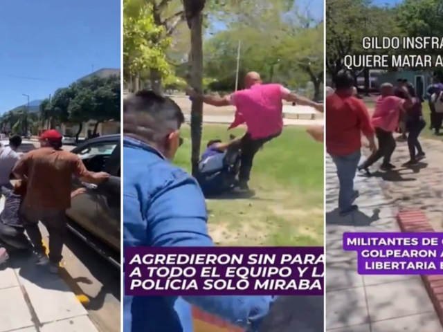 Militantes de InsfrГЎn agredieron a seguidores libertarios en una pelea en el cierre de campaГ±a en Formosa