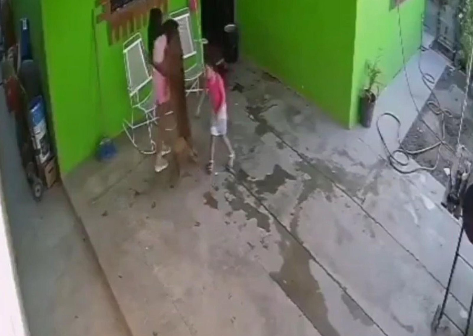 Una niña de 7 años recibió 68 puntos en su cabeza tras ser atacada por su perro: el crudo video del hecho