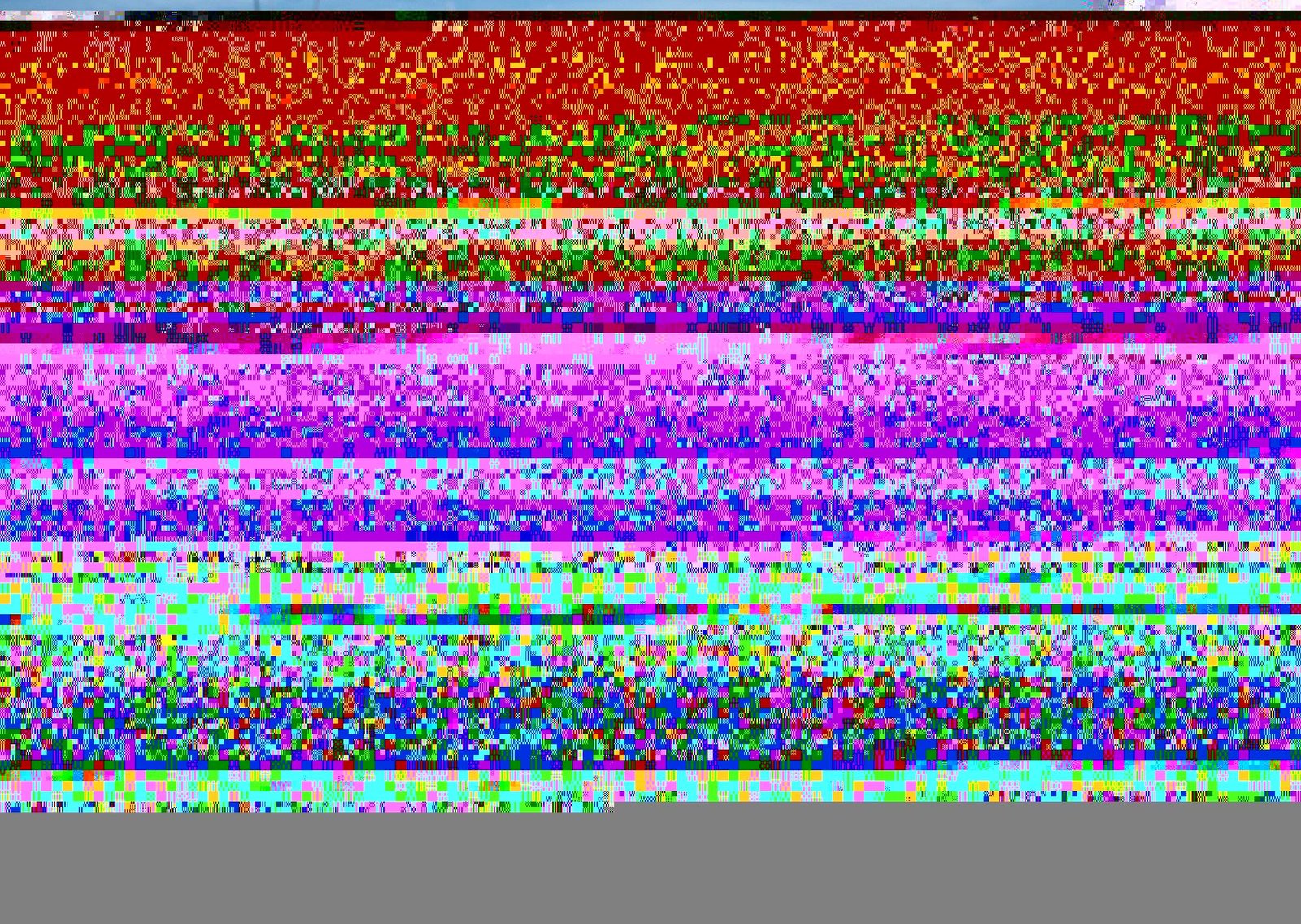 Quince castores fueron liberados en el desierto de Arizona después de que el río San Pedro se secara: cuatro años después, llegó la gran sorpresa