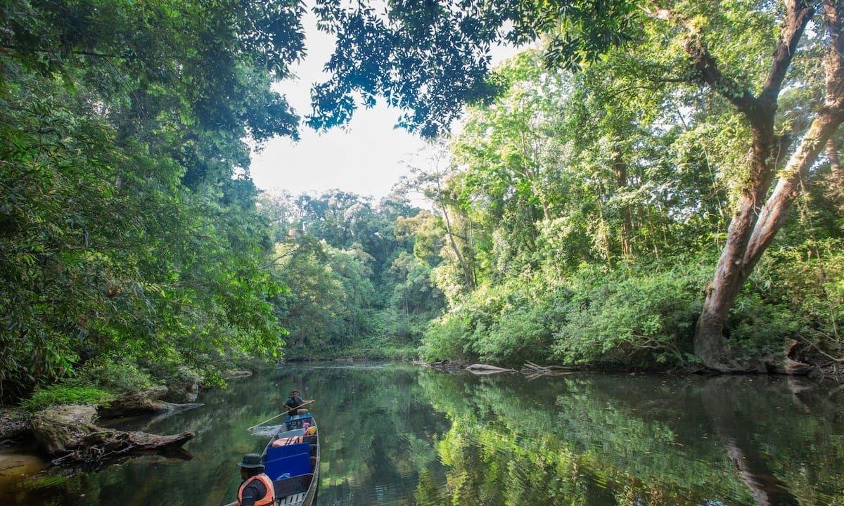 Malasia: el destino del sudeste asiático con playas de ensueño, selva exuberante y culturas milenarias