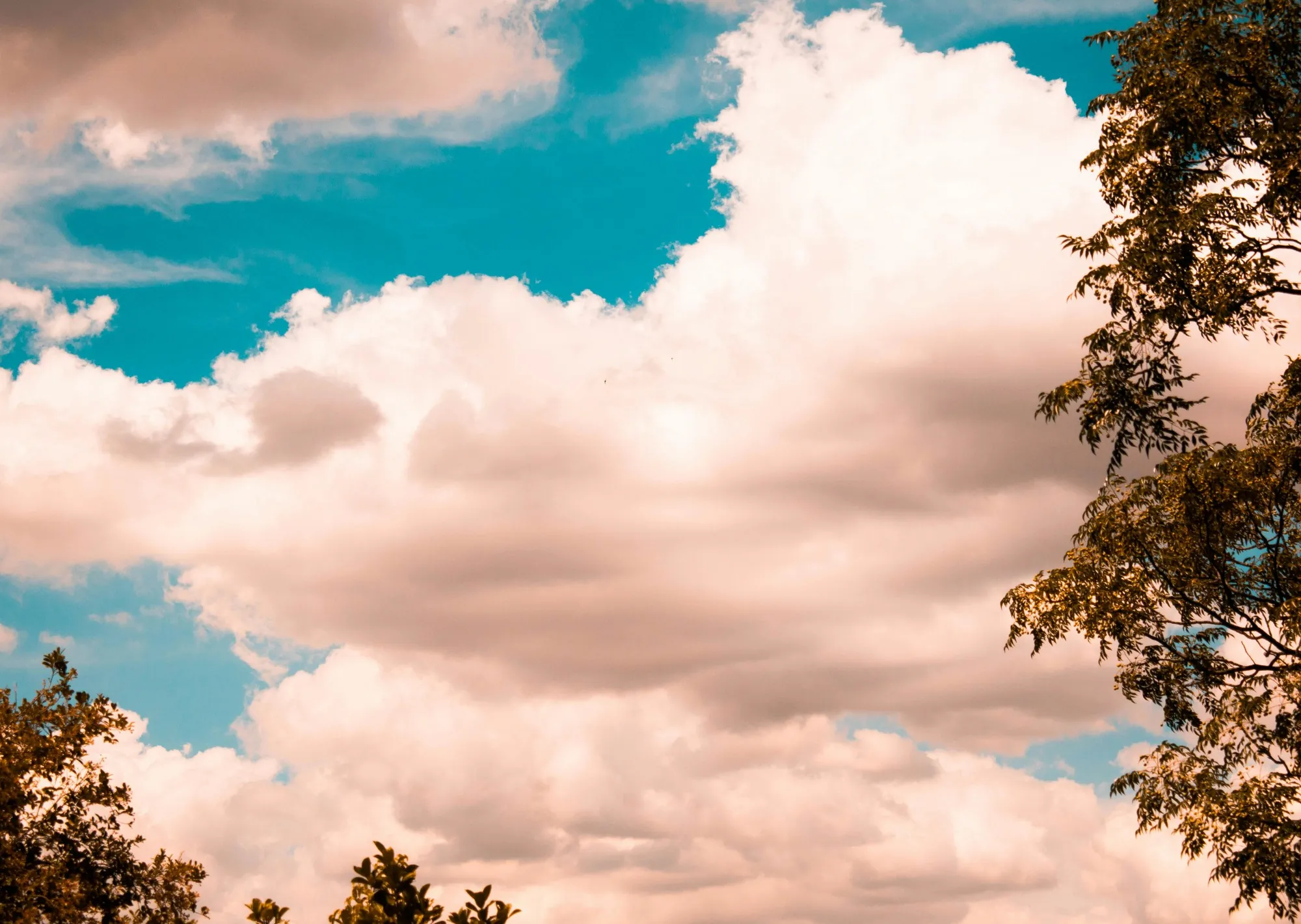Clima hoy en Ciudad Guayana, Venezuela: el pronóstico del tiempo para este jueves 12 marzo de 2026