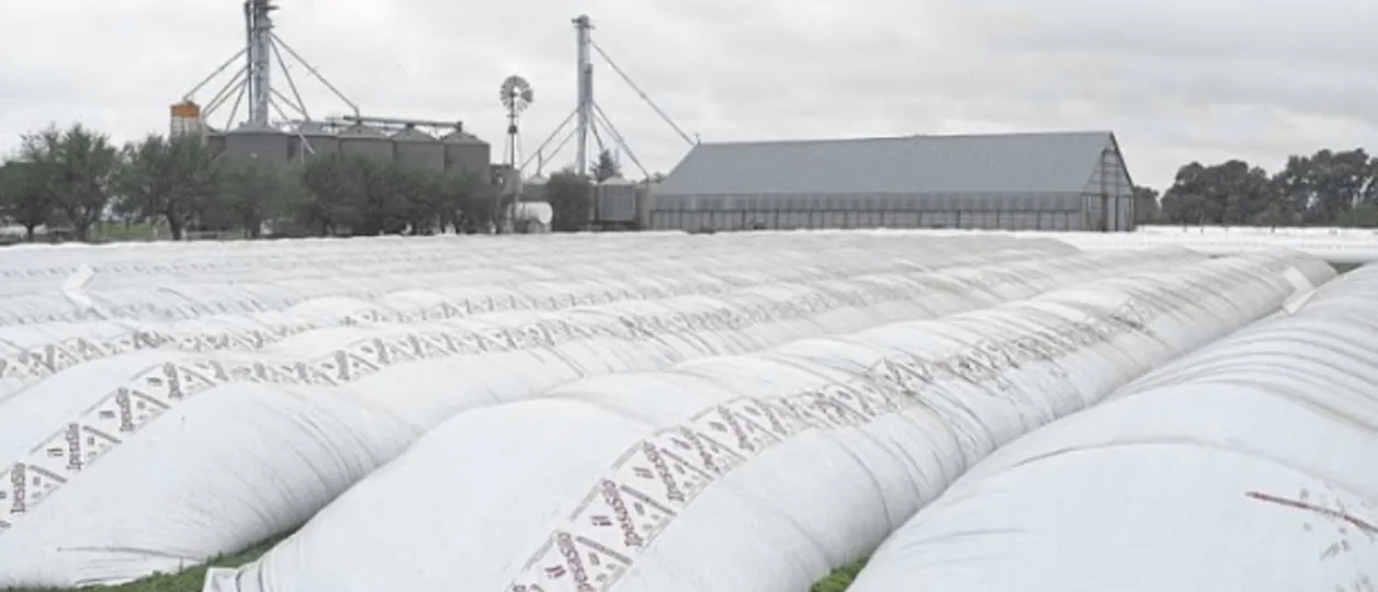 El Banco Central realizó un cambio relevante para los productores que guardaban más del 5% de su cosecha