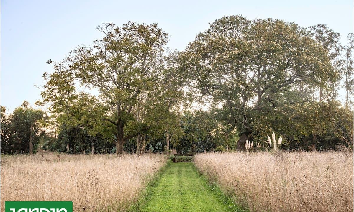 De escapada de fin de semana a nueva vida en Chapadmalal