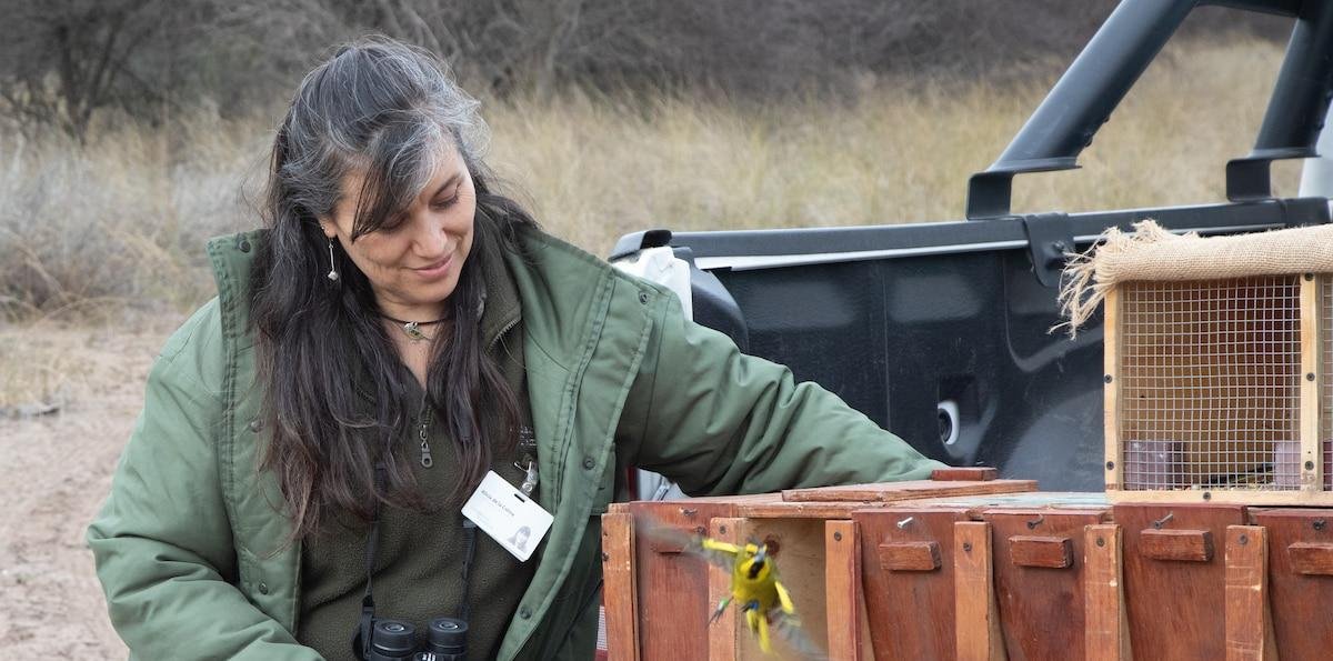 Día Mundial de la Vida Silvestre: las científicas argentinas que encabezan proyectos para salvar especies en extinción