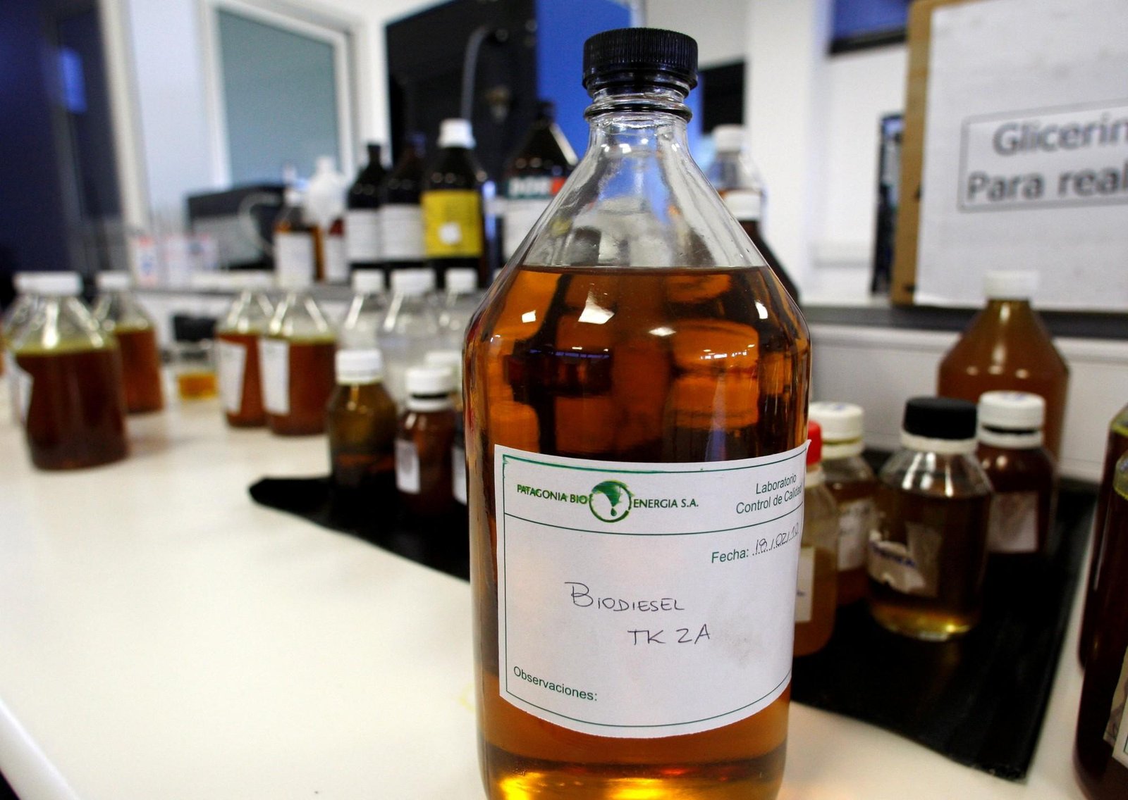 La Unión Europea cerraría las importaciones de biodiesel de soja