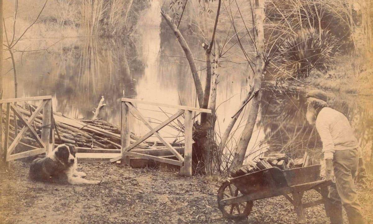 El día que los gauchos se hicieron jardineros y crearon bellos paisajes