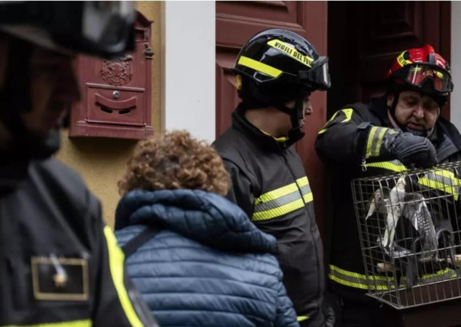 El dramático rescate de cinco pájaros en la ciudad italiana afectada por un deslave