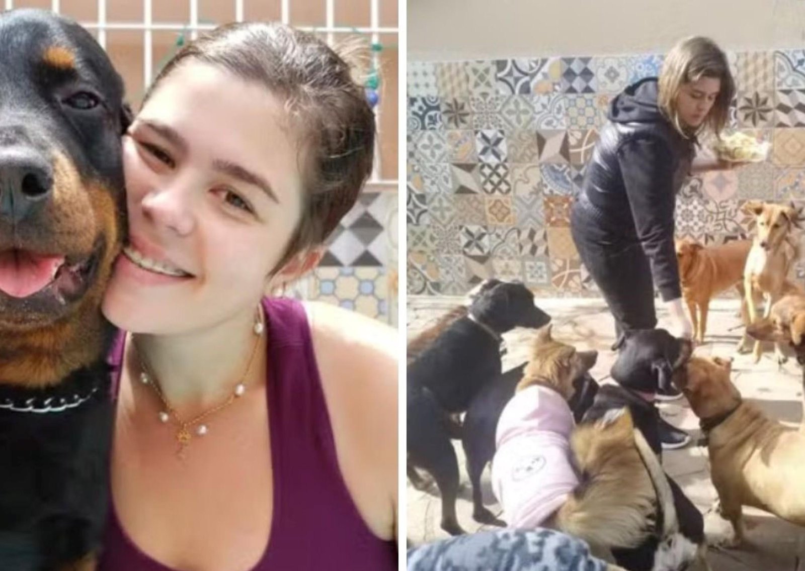 Los perros de Alice Moraes, el recuerdo de la joven estudiante de veterinaria que falleció dramáticamente en un concierto