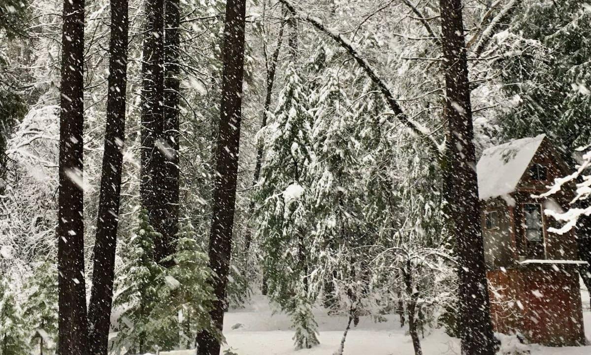Clima en Santa Ana, California hoy: cuál es el pronóstico del tiempo para la semana del 2 de marzo al 6 de marzo