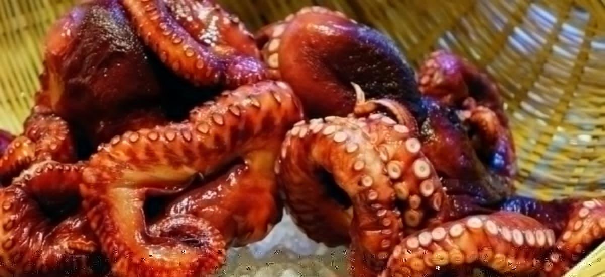 Cuáles son los beneficios a la salud de consumir carne de pulpo