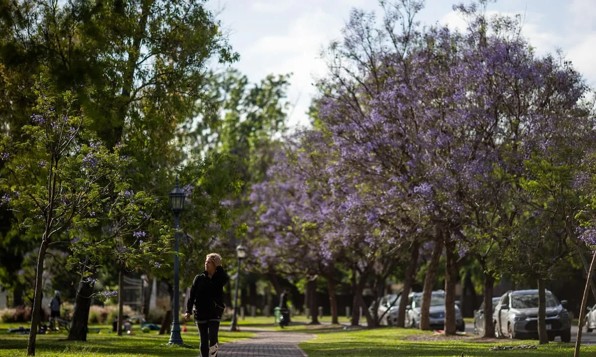 Cuándo es el equinoccio de primavera en la Argentina 2026