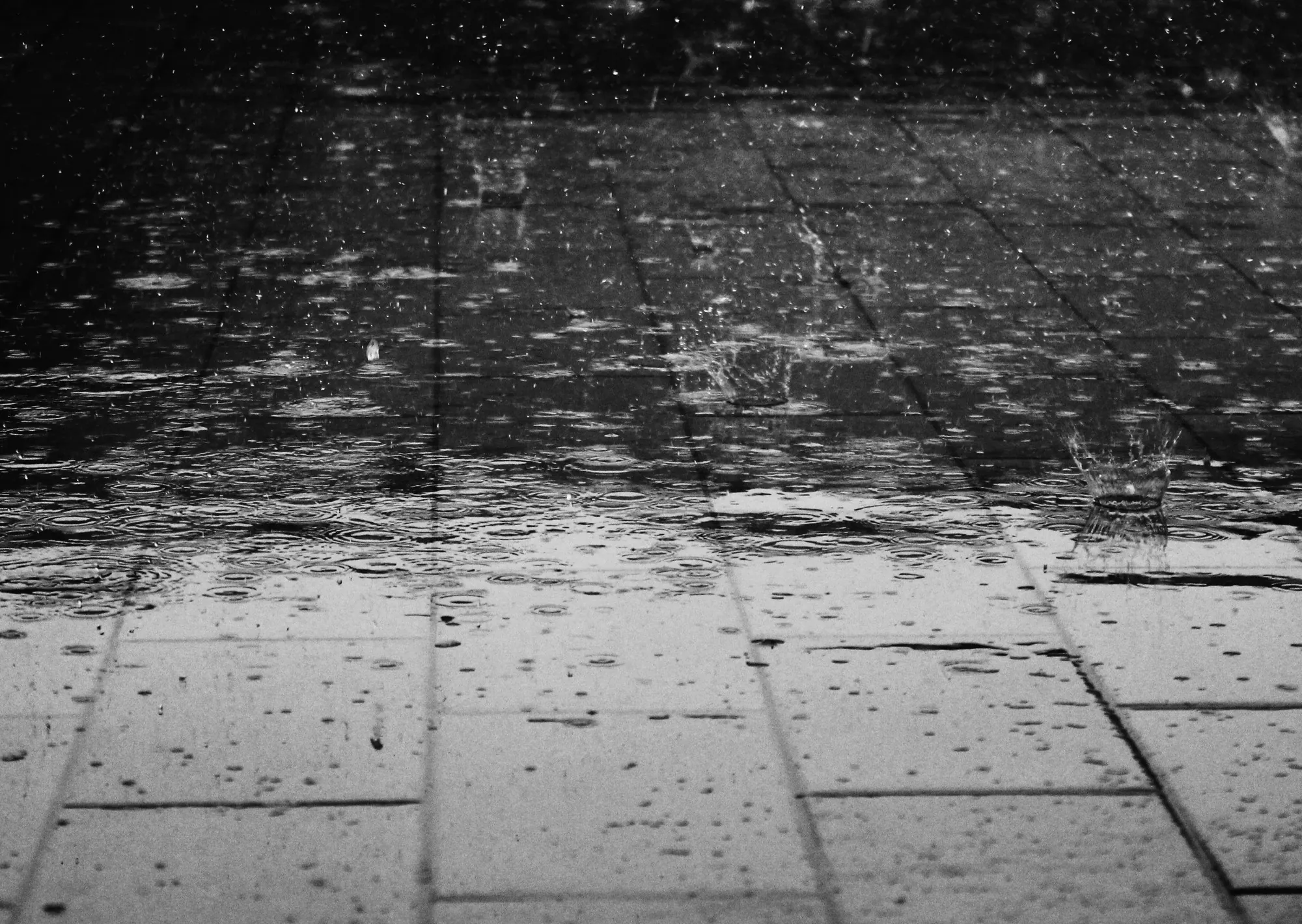 Clima hoy en Búzios, Brasil: el pronóstico del tiempo para este jueves 12 marzo de 2026