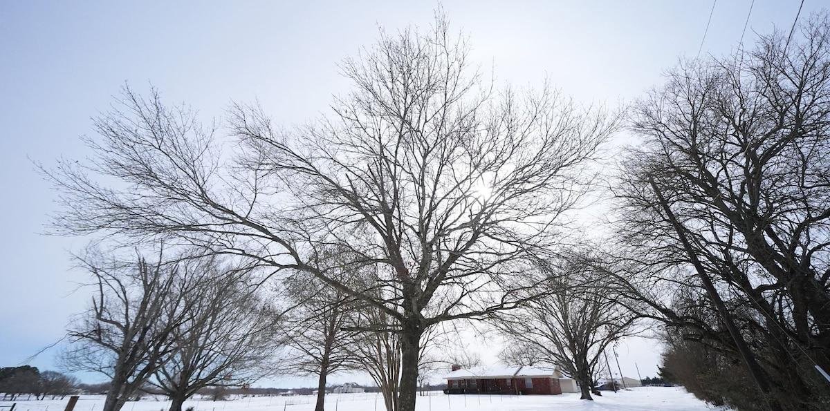 Clima en San Antonio, Texas hoy: cuál es el pronóstico del tiempo para hoy 4 de marzo