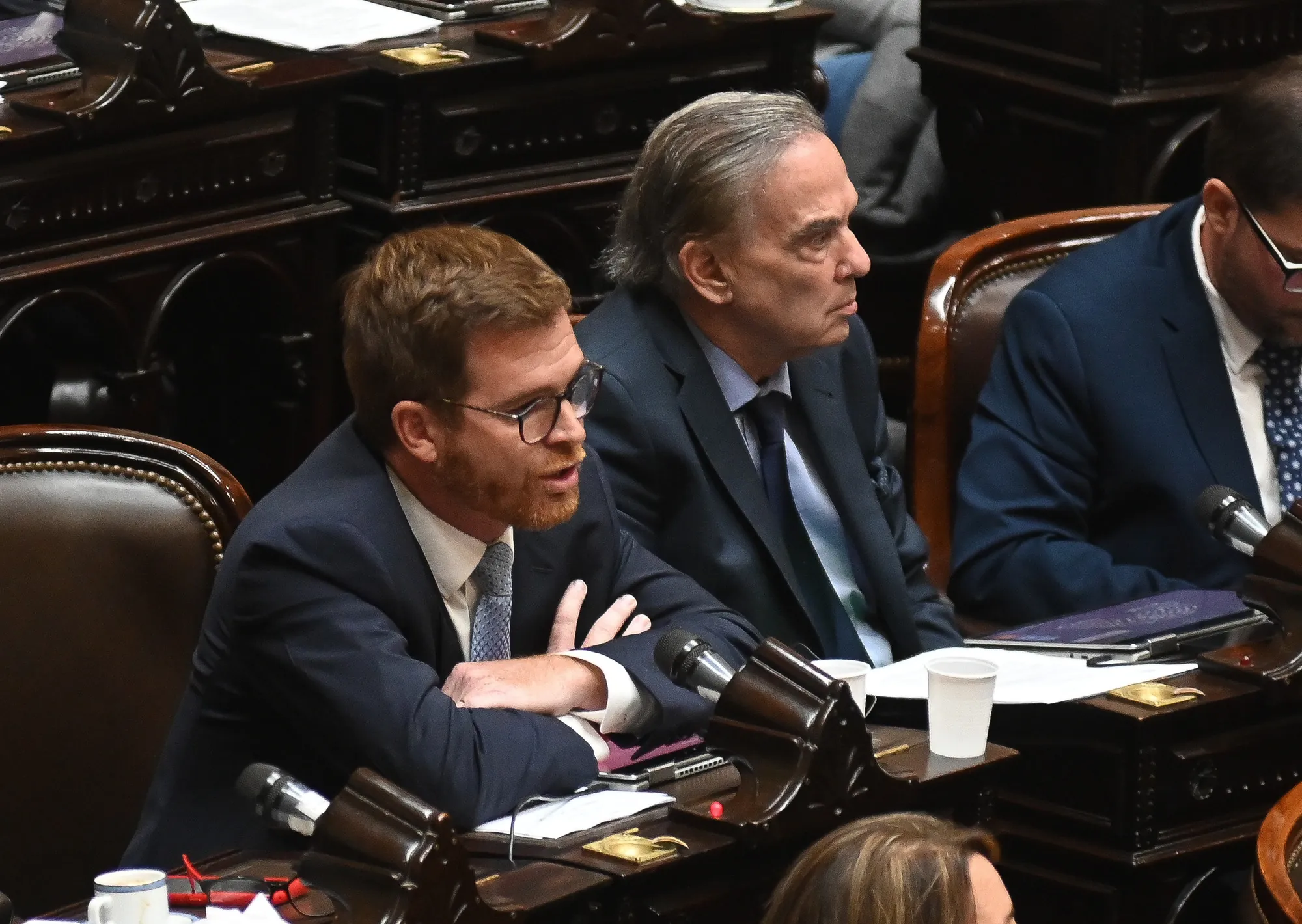 Tras el fallo de la Corte, Pichetto y Massot presentaron una cautelar para volver limitar la venta de tierras a extranjeros