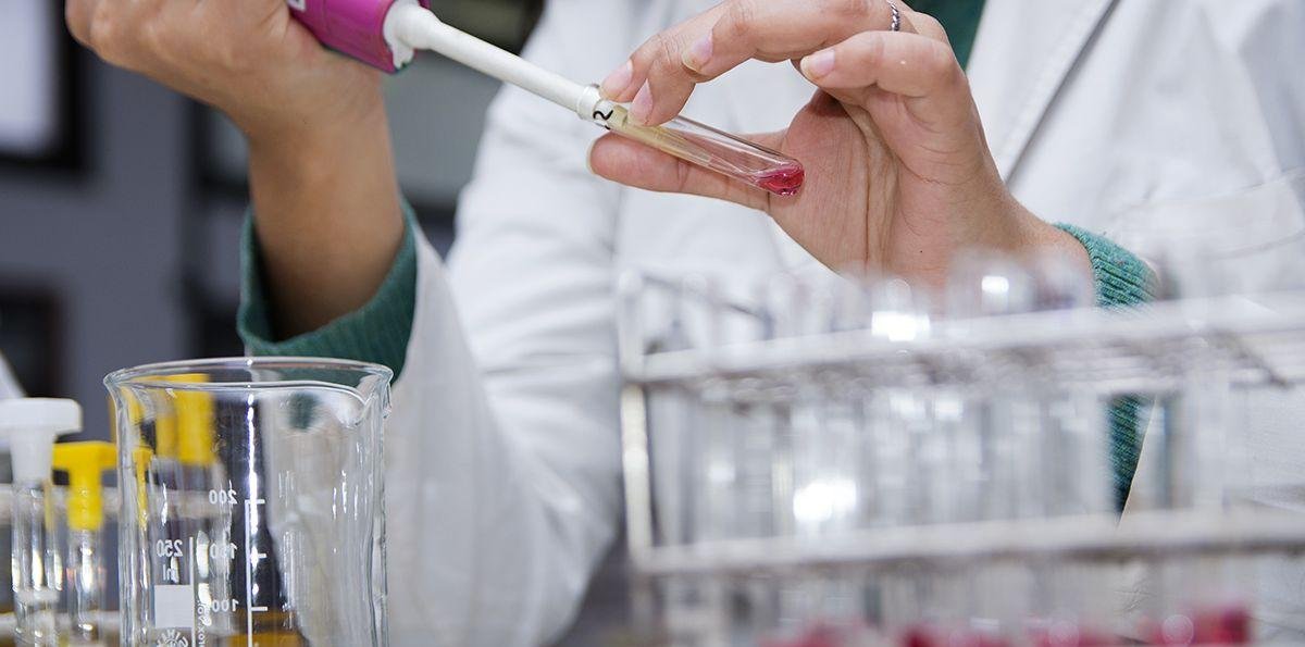 Crean el Programa Nacional “Sello Ciencia Argentina” para impulsar empresas de base tecnológica