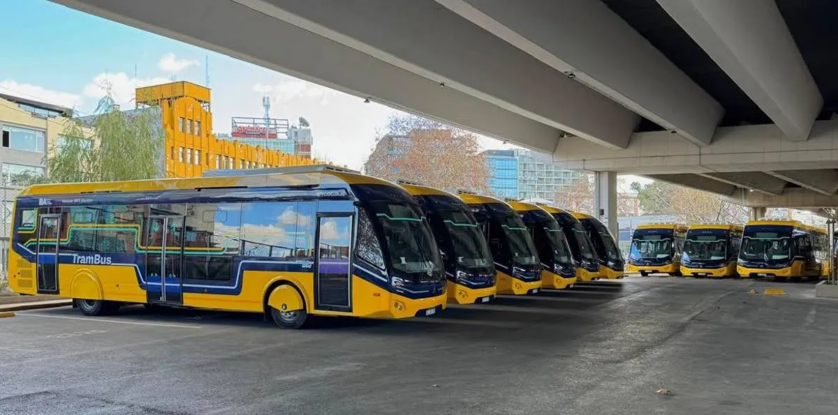 La Ciudad anticipó cuándo empezará a funcionar el nuevo TramBus: recorrido y paradores