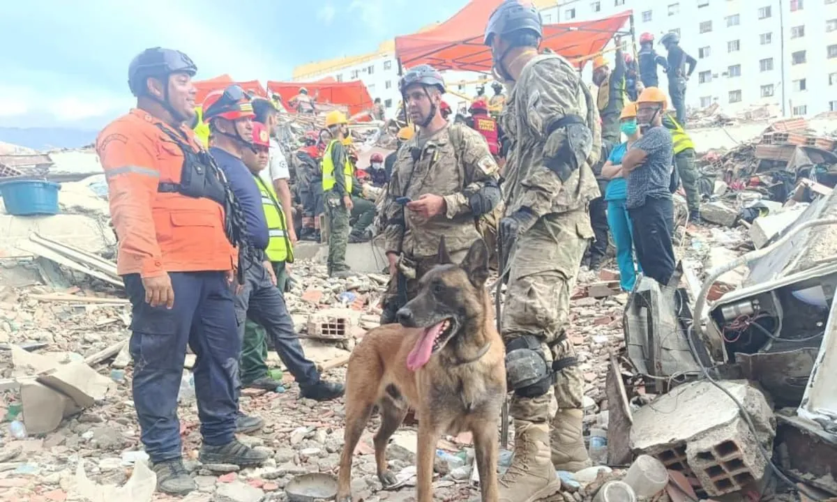 Bart, el perro rescatista argentino que ayudó a salvar a dos chicos atrapados bajo los escombros en Venezuela