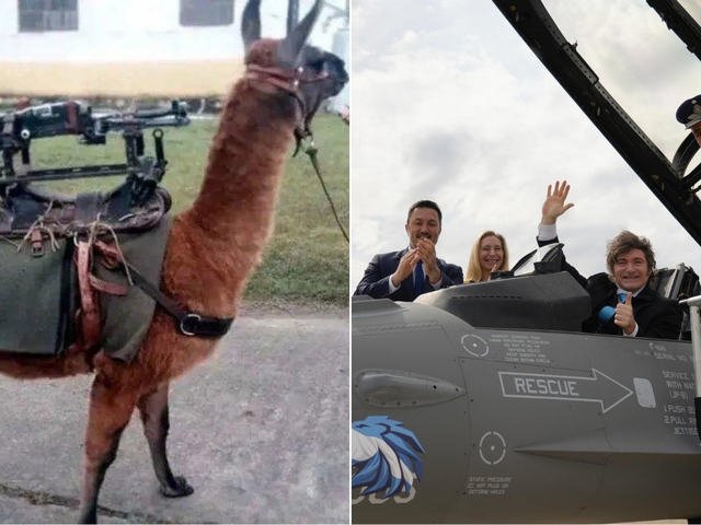 Santilli celebrГі la llegada de los F-16 con un irГіnico mensaje contra el kirchnerismo: вЂњPasamos de incorporar llamas metralletas a aviones de combateвЂќ