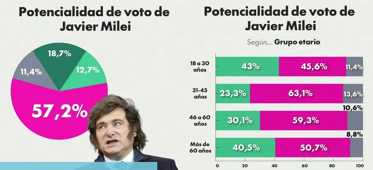 Fin: lapidaria encuesta electoral para Javier Milei sobre qué porcentaje no lo votaría en 2027