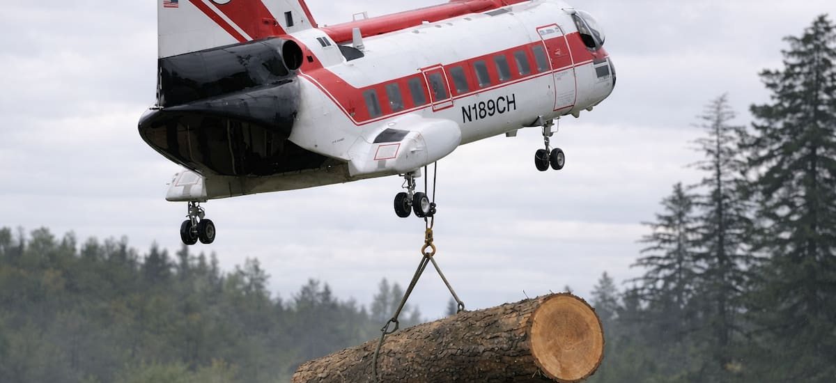 Imágenes impactantes: lanzan más de 6.000 troncos desde helicópteros en ríos de Estados Unidos para cumplir la misión más importante