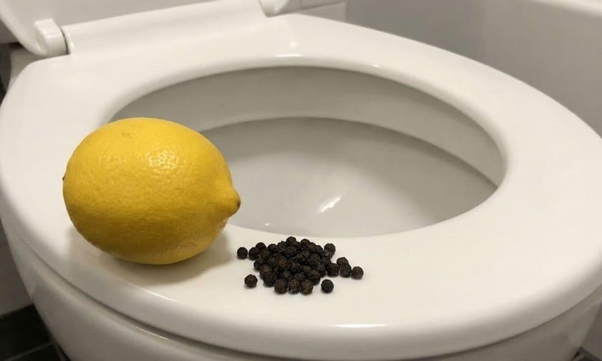 Por qué recomiendan colocar limón y pimienta en el inodoro