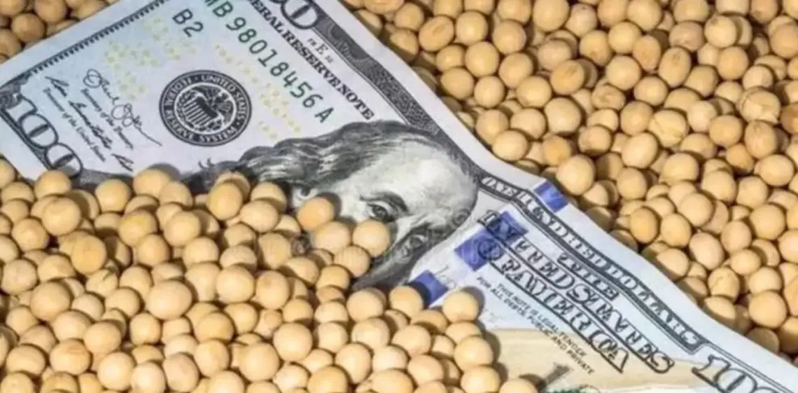 Fuertes subas de precios de soja, maíz y trigo tras el anuncio de compras de China a Estados Unidos