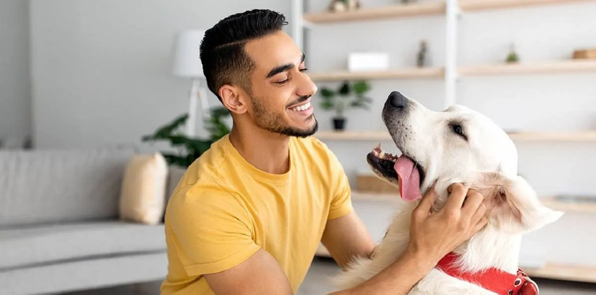 Veterinarios revelan qué significa cuando tu perro salta al verte llegar