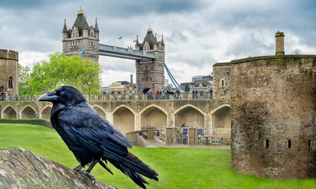 Un reino, seis cuervos y los miedos heredados: creencias que nos ayudan a sostener lo que no podemos controlar