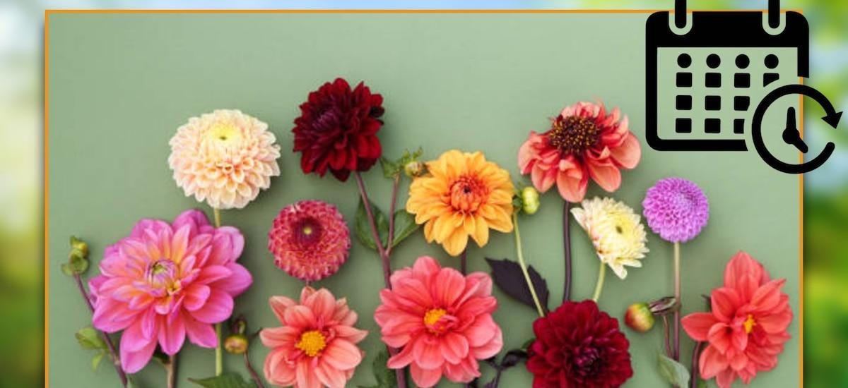 ¿Cuándo entra el equinoccio de primavera a México? Fecha y hora exactas