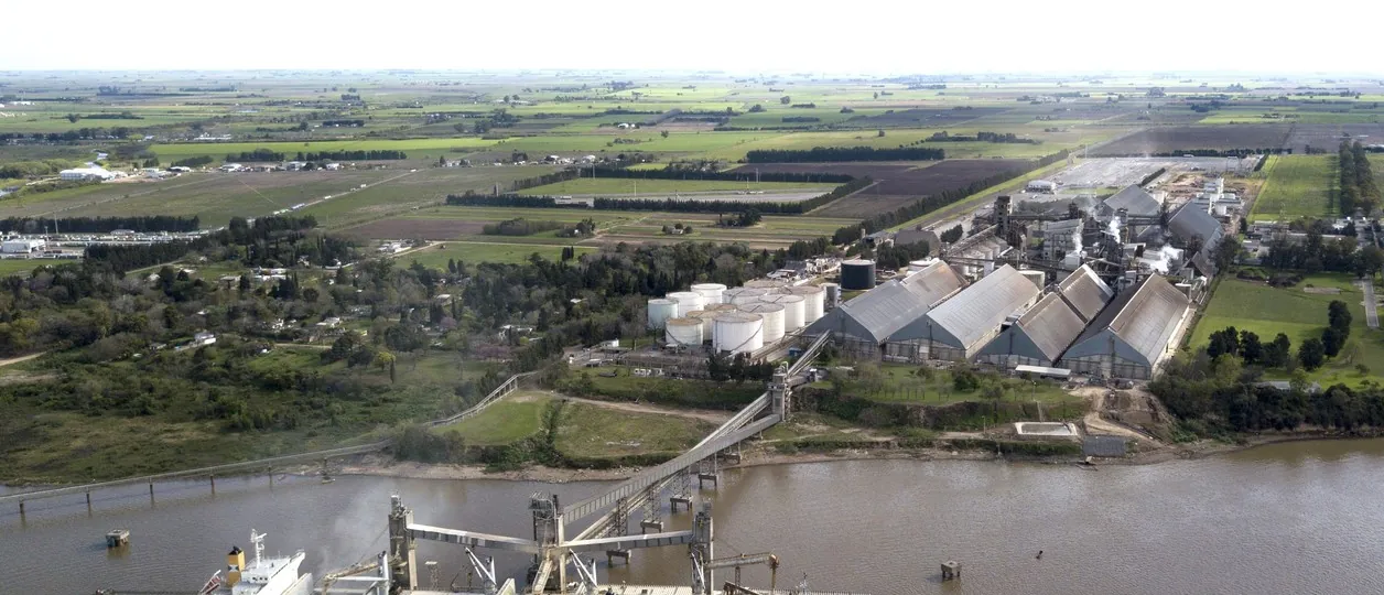 "Medida inédita": el Parlamento Europeo sacó de la lista negra al biodiesel de soja y la industria argentina respira
