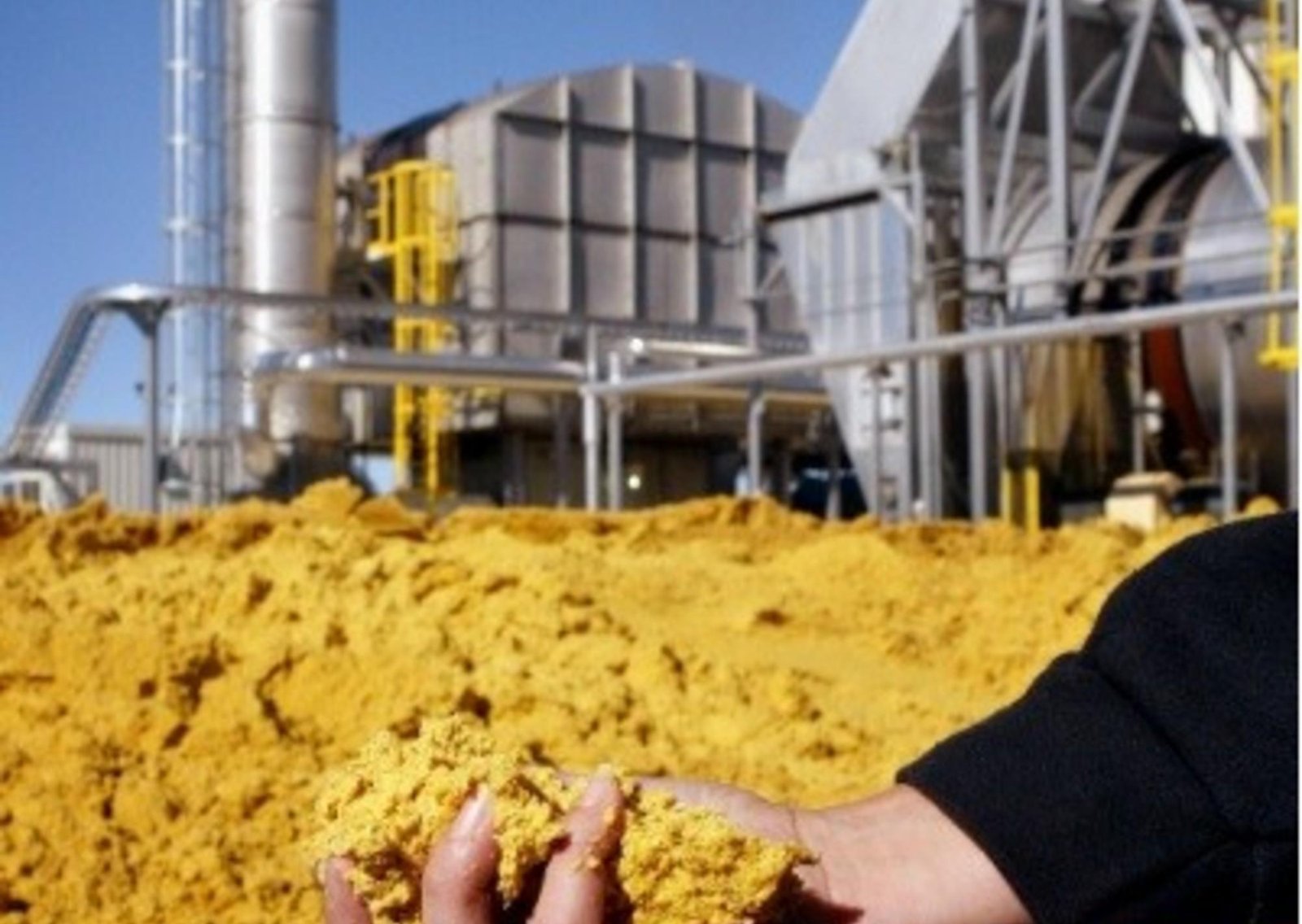 Sin bioeconomía no hay paraíso: cómo expandir la frontera productiva sin violar mandatos ambientales