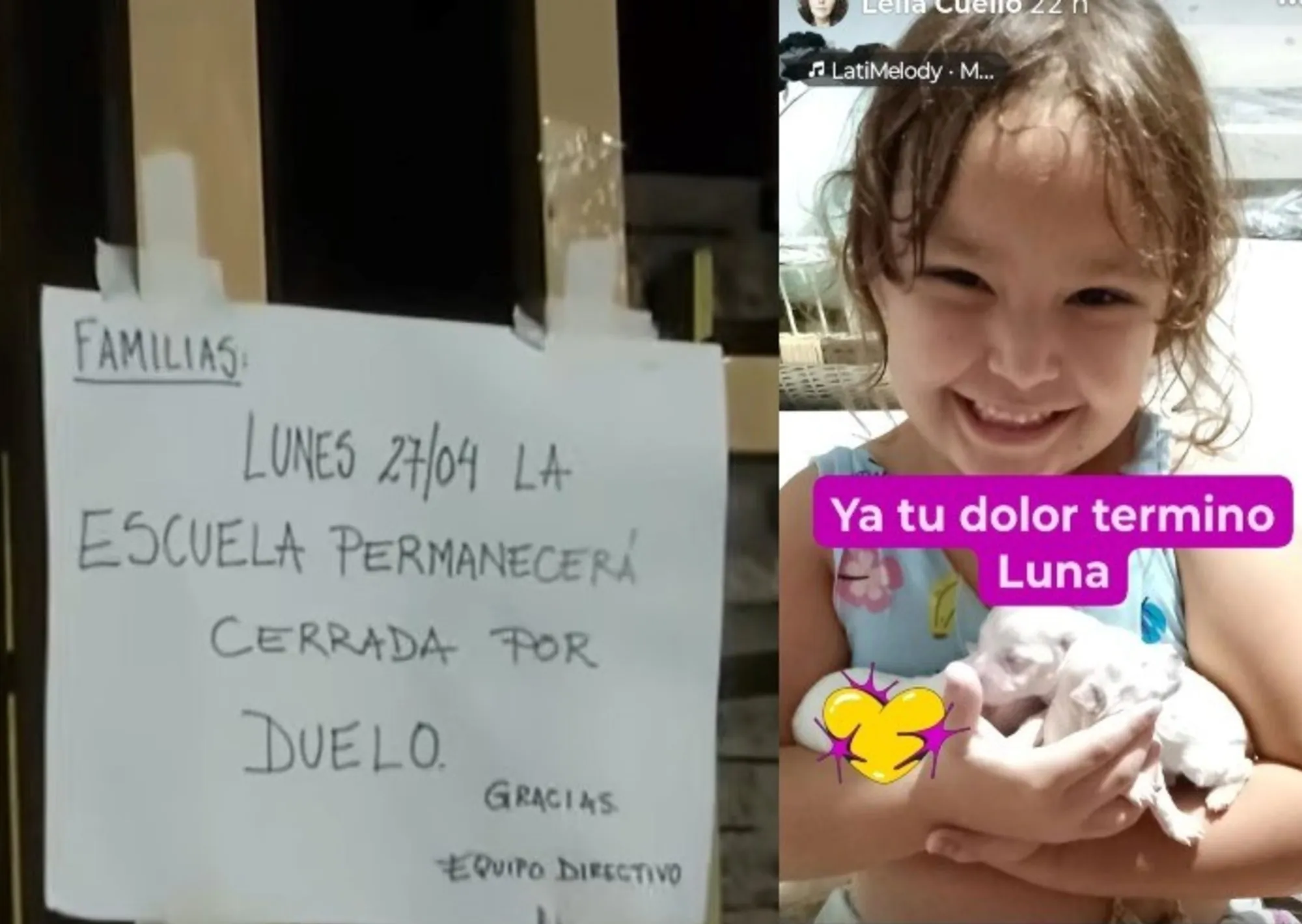 Tragedia en una escuela: una nena de 6 años se tropezó con los cordones durante un recreo y murió al golpearse contra un banco de cemento