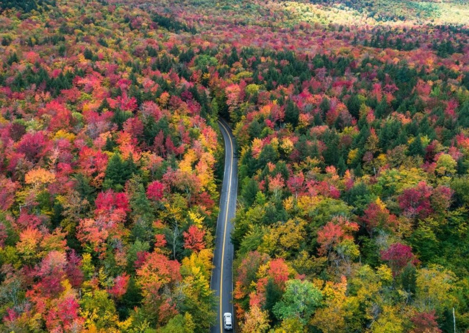 Esta carretera panorámica de Nueva Inglaterra es el viaje por carretera que cambiará tu vida