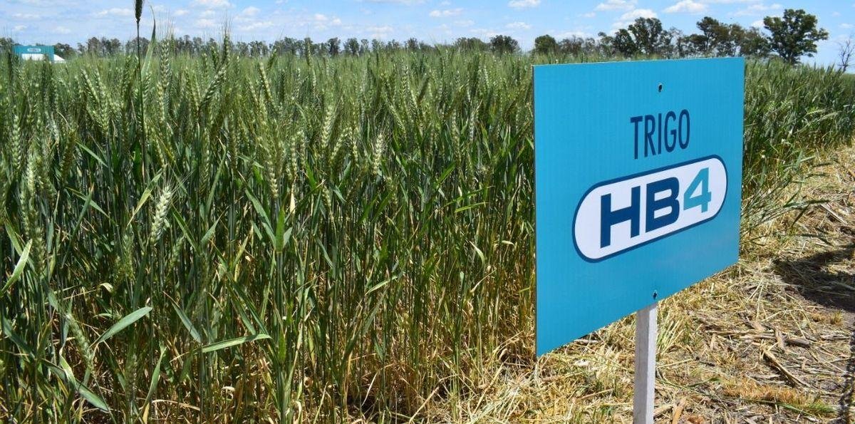 Quiebra, acusaciones y poder: estalla la pelea dentro del grupo Bioceres